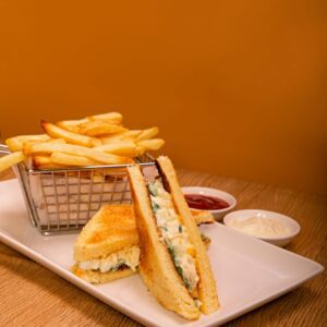 Chicken-sandwich-with fries.